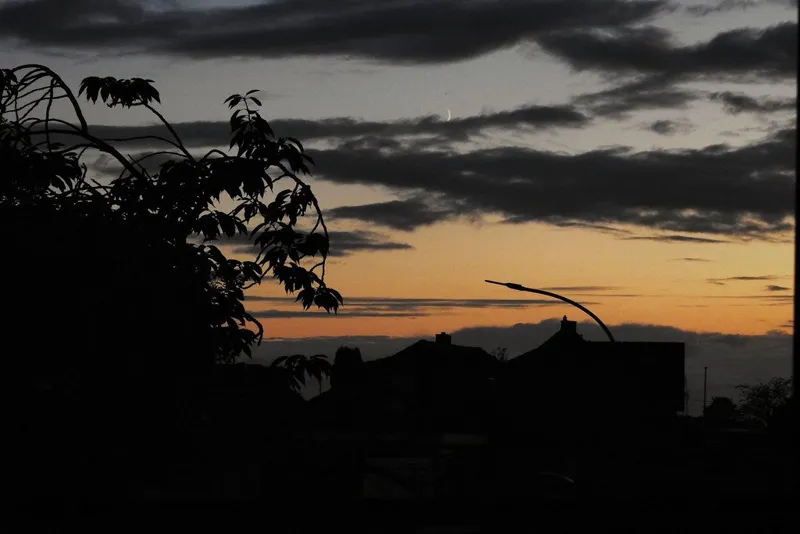 夕焼けの空を背に、木の枝と家並みが黒いシルエットになった写真
